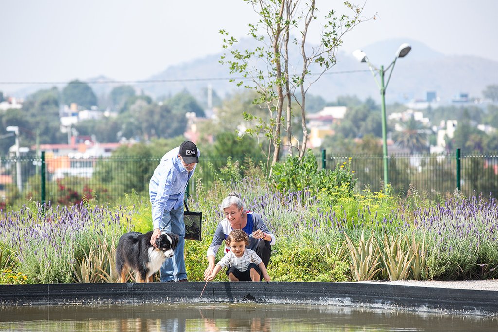 El norte de la CDMX, cada vez más petfriendly