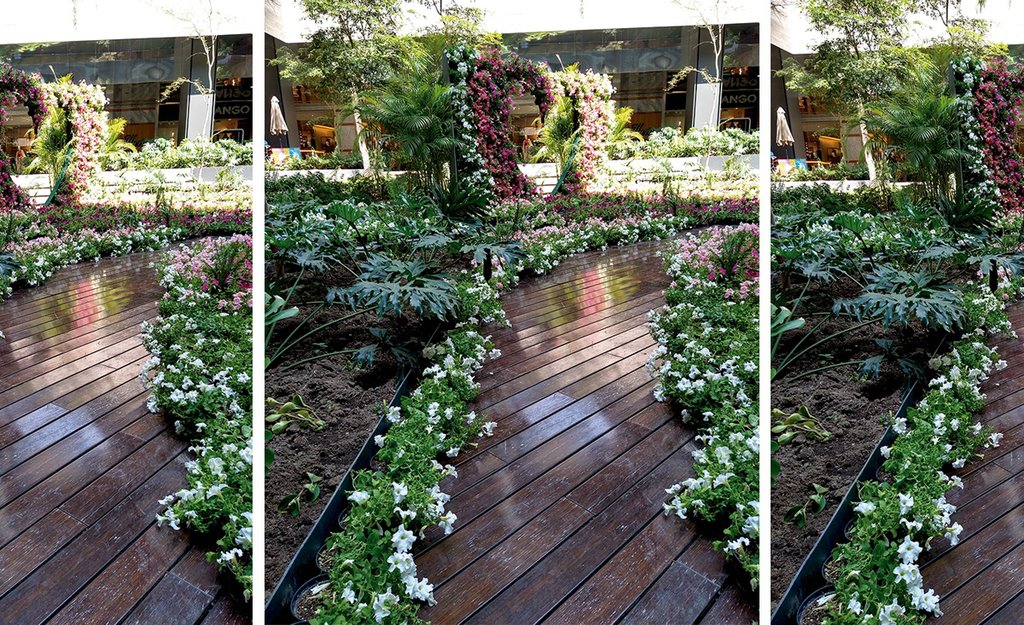 Plaza Satélite se cubre de flores