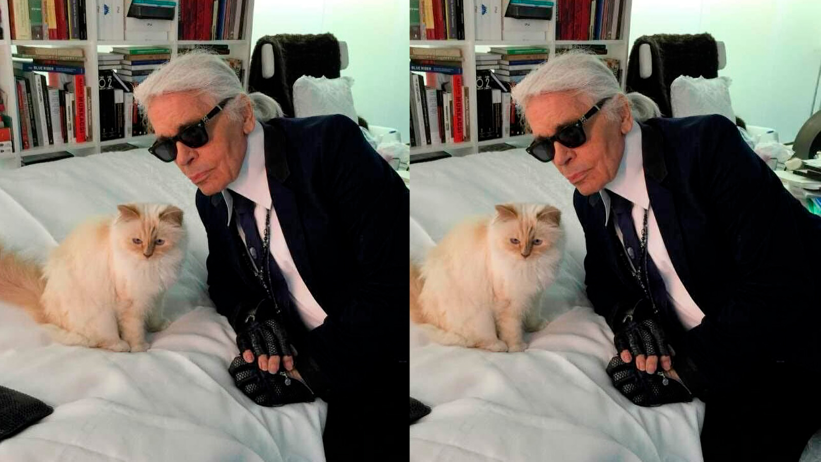 choupette-ruina-gatita-karl-lagerfeld-herencia.jpg